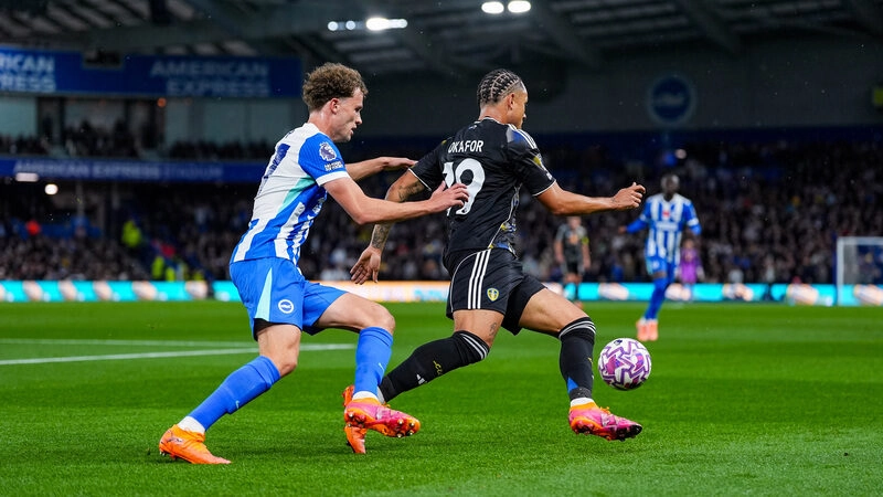 Leeds vs Brighton - Liệu Mòng Biển có thể bay cao